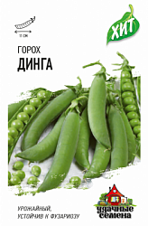 Горох Динга хит
