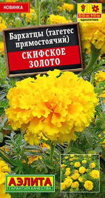 Бархатцы Скифское золото прямостоячие_ЦП