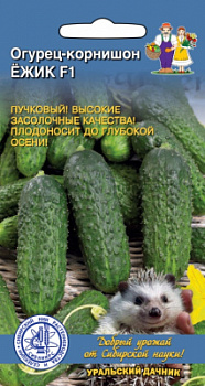 00000013626_1