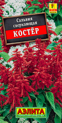 Сальвия Костер_ЦП