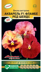 Виола виттрока Акварель Фламбе ред шадес