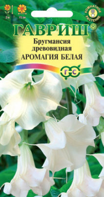 Бругмансия