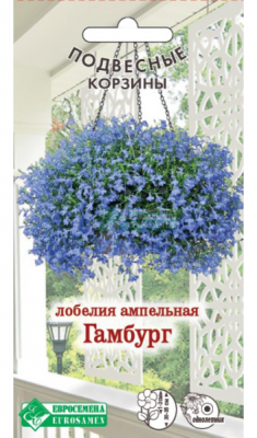 Лобелия Гамбург