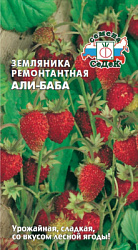 zemlyanika_ali_baba
