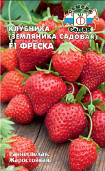 klubnika_zemlyanika_sadovaya_freska_f1