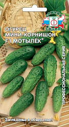 ogurets_motylek_f1