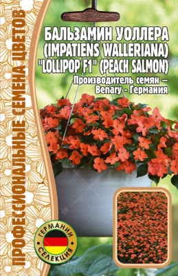 Салмон