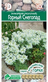 Молочай