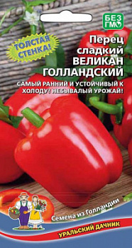 perec-sladkiy-velikan-gollandskiy