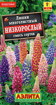 Люпин Низкорослый, смесь сортов_ЦП