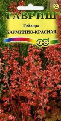 Гейхера