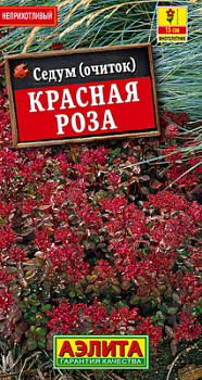 Седум Красная роза_ЦП