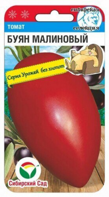 Томат Буян малиновый