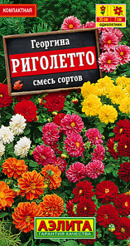 Георгина Риголетто, смесь сортов_ЦП