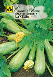 kabachok_cukkini_cukesha