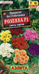 Примула Розелла F1, смесь сортов_ЦП