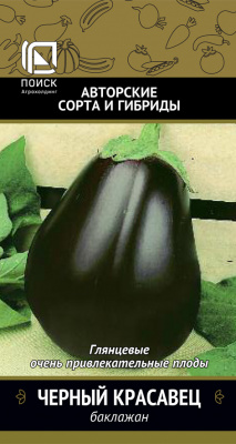 baklazhan_cherny_krasavec