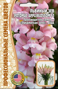 Львиный зев эплблоссом