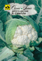 kapusta_cvetnaya_smilla