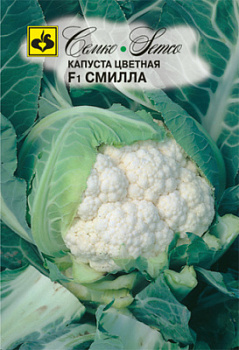 kapusta_cvetnaya_smilla