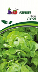 Салат лука