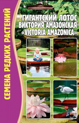 Лотос