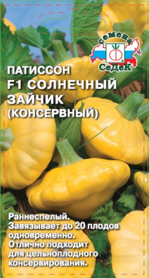 patisson_solnechnyy_zaychik