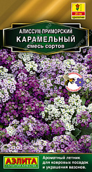 Алиссум Карамельный