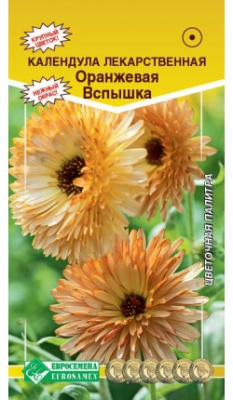Календула Оранжевая вспышка