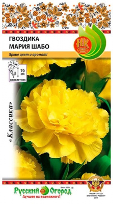 Гвоздика Шабо Мария