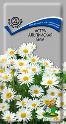 Астра альпийская Белая