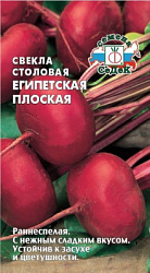 Свекла египетская