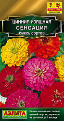 Цинния Сенсация, смесь сортов
