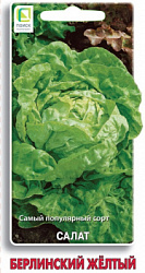 salat_berlinsk_zhelty