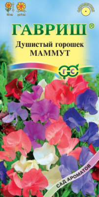 Маммут