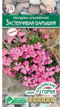Гвоздика Застенчивая Барышня