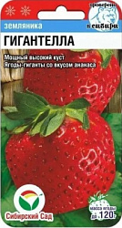 Гигантелла