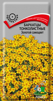 Бархатцы тонколистные Золотой самоцвет