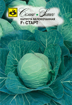 kapusta_belokochannaya_start