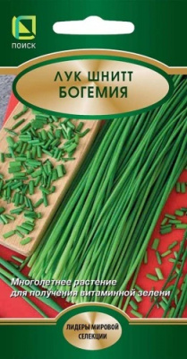 Лук шнитт Богемия