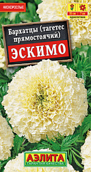 Бархатцы Эскимо прямостоячие_ЦП