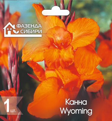 Канна Wyoming