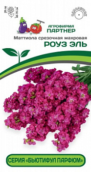 Маттиола Роуз Эль