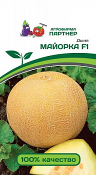 Дыня Майорка