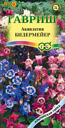 Аквилегия бидермейер