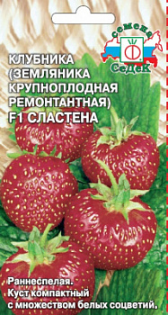 klubnika_slastena_f1_zemlyanika_krupnoplodnaya_remontantaya