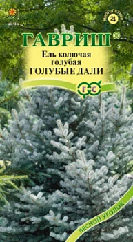 Ель