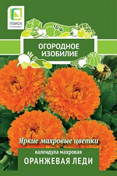 Календула махровая Оранжевая леди
