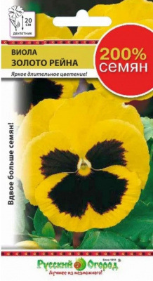 Виола Золото Рейна