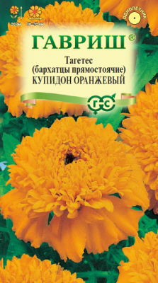 Бархатцы Купидон оранжевый